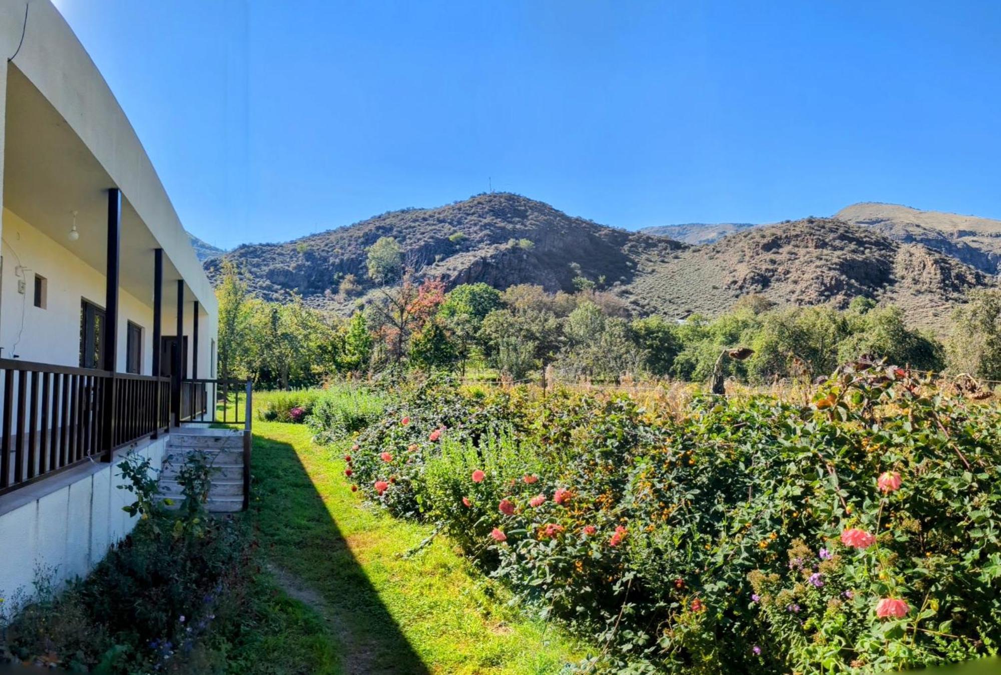 Bee House Ξενοδοχείο Pia Εξωτερικό φωτογραφία